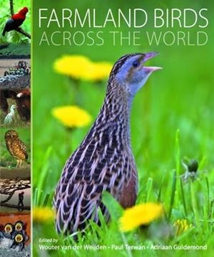 FARMLAND BIRDS ACROSS DE WORLD | 9788496553637 | VAN DER WEIJDEN, WOUTER/TERWAN, PAUL/GULDEMOND, ADRIAAN/DONALD, PAUL/VAN DER PLAS, LINUS/DEN BELDER, | Llibreria La Gralla | Llibreria online de Granollers