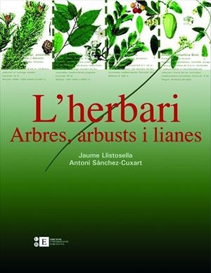 HERBARI, L'. ARBRES ARBUSTOS I LIANES | 9788483384220 | LLISTOSELLA, JAUME / SANCHEZ CUXART, ANTONI | Llibreria La Gralla | Librería online de Granollers