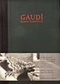 GAUDI ALBUM CIENTIFICO | 9788484780359 | LAHUERTA ALSINA, JUAN JOSÉ | Llibreria La Gralla | Librería online de Granollers