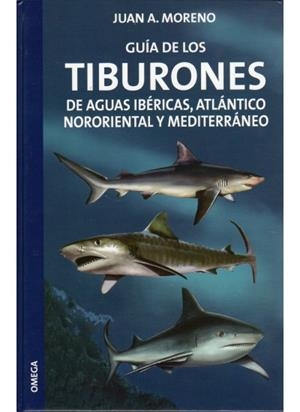 GUIA DE LOS TIBURONES DE AGUAS IBERICAS, ATLANTICO NORORIENT | 9788428213677 | MORENO, JUAN A. | Llibreria La Gralla | Librería online de Granollers