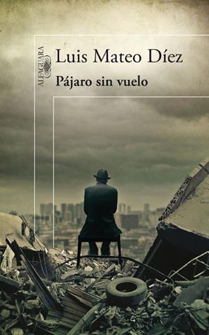 PÁJARO SIN VUELO | 9788420474984 | MATEO DÍEZ, LUÍS | Llibreria La Gralla | Llibreria online de Granollers