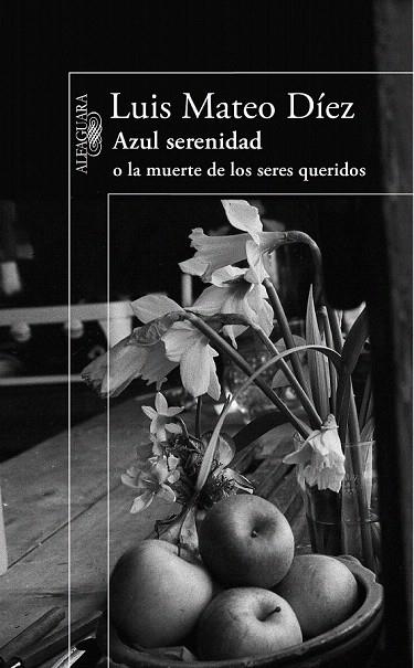 AZUL SERENIDAD O LA MUERTE DE LOS SERES QUERIDOS | 9788420406183 | DIEZ, LUIS MATEO | Llibreria La Gralla | Librería online de Granollers