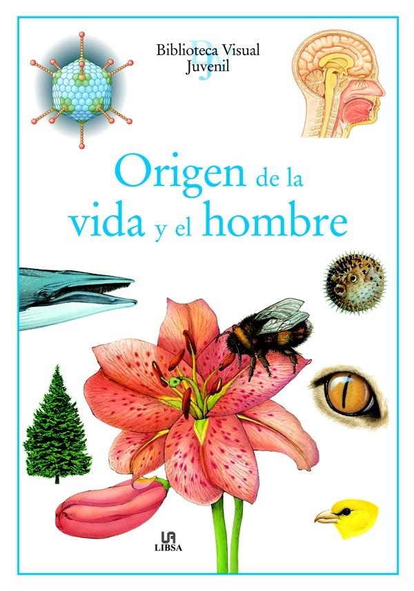 ORIGEN DE LA VIDA Y EL HOMBRE (BIBLIOTECA VISUAL JUVENIL) | 9788466211628 | EQUIPO EDITORIAL | Llibreria La Gralla | Librería online de Granollers