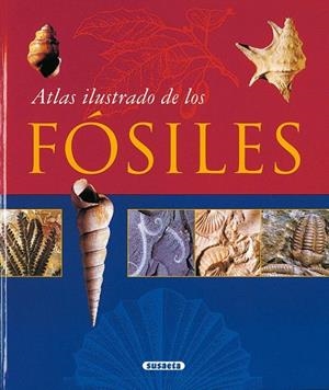 ATLAS ILUSTRADO DE LOS FOSILES | 9788430548712 | VARIOS AUTORES | Llibreria La Gralla | Librería online de Granollers