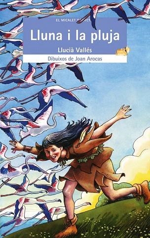 LLUNA I LA PLUJA, LA (MICALE GALACTIC BLAU 114) | 9788476609644 | VALLES, LLUCIA | Llibreria La Gralla | Librería online de Granollers
