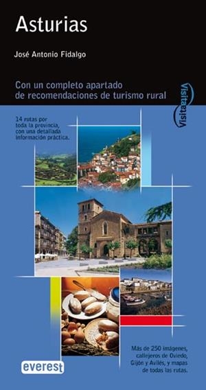 ASTURIAS (GUIA VISITA 2005) | 9788424105396 | FIDALGO, JOSE ANTONIO | Llibreria La Gralla | Librería online de Granollers