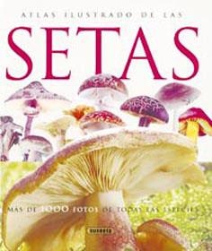 ATLAS ILUSTRADO DE LAS SETAS | 9788430547210 | LAMAISON, JEAN-LOUIS/POLESE, JEAN-MARIE | Llibreria La Gralla | Librería online de Granollers