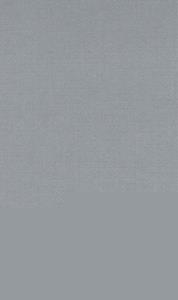 Y PERDEMOS LOS NOMBRES DE LA PIEDRA | 9788496357204 | RIU MARAVAL, DANIEL | Llibreria La Gralla | Llibreria online de Granollers