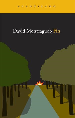 FIN (ACANTILADO) | 9788492649235 | MONTEAGUDO, DAVID | Llibreria La Gralla | Librería online de Granollers
