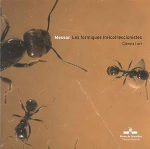 MESSOR. LES FORMIGUES RE COL·LECCIONISTES | 9788487790621 | GUSI, ALBERT | Llibreria La Gralla | Llibreria online de Granollers