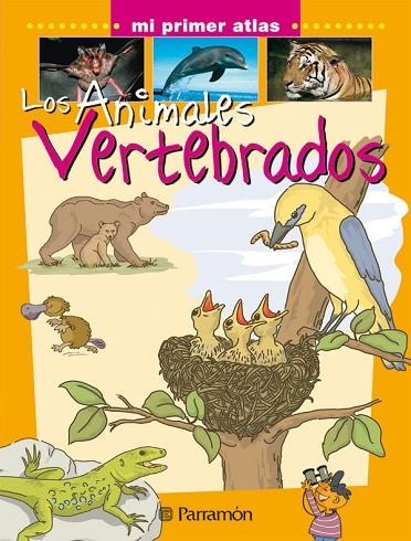 ANIMALES VERTEBRADOS, LOS (MI PRIMER ATLAS) | 9788434227118 | VARIS | Llibreria La Gralla | Librería online de Granollers