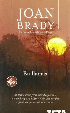EN LLAMAS (ZETA 1225/3) | 9788496581098 | BRADY, JOAN | Llibreria La Gralla | Llibreria online de Granollers