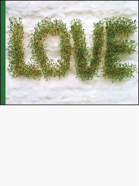 LOVE | 9788493526900 | GIL, ISABELLE | Llibreria La Gralla | Librería online de Granollers