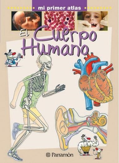 CUERPO HUMANO, EL (MI PRIMER ATLAS) | 9788434227057 | FARRÉS, JAUME/MARCET SOLER, XAVIER/ROLDÁN, GUSTAVO | Llibreria La Gralla | Llibreria online de Granollers