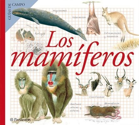 MAMIFEROS, LOS (GUIAS DE CAMPO) | 9788434228375 | BLASCO FELIU, AMADEU/JULIVERT ZAMARREÑO, Mª ÁNGELES | Llibreria La Gralla | Llibreria online de Granollers