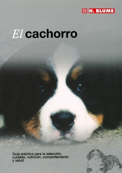 CACHORRO, EL | 9788489840898 | Llibreria La Gralla | Llibreria online de Granollers