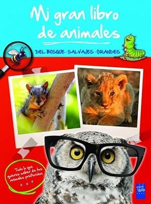 MI GRAN LIBRO DE ANIMALES. DEL BOSQUE SALVAJES GRANDES | 9788408008484 | Llibreria La Gralla | Librería online de Granollers