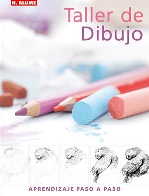 TALLER DE DIBUJO | 9788496669031 | Llibreria La Gralla | Librería online de Granollers
