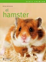 HAMSTER, EL (SERIE PREMIUM) | 9788425517884 | FRITZSCHE, PETER | Llibreria La Gralla | Librería online de Granollers