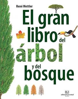 GRAN LIBRO DEL ÁRBOL Y DEL BOSQUE, EL | 9788426139399 | METTLER, RENÉ | Llibreria La Gralla | Llibreria online de Granollers