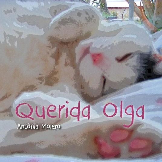 QUERIDA OLGA | 9788493878597 | MOLERO, ANTÒNIA | Llibreria La Gralla | Llibreria online de Granollers