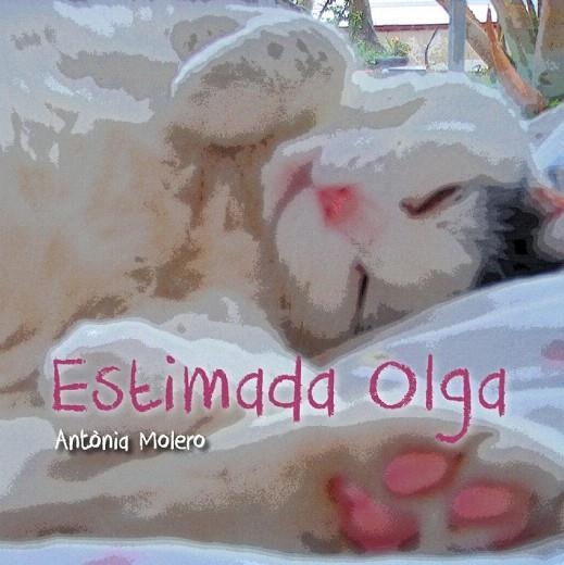 ESTIMADA OLGA | 9788493878580 | MOLERO, ANTÒNIA | Llibreria La Gralla | Llibreria online de Granollers