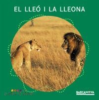 LLEO I LA LLEONA, EL (BOSC DE COLORS) | 9788448914127 | BALDÓ, ESTEL/GIL, ROSA/SOLIVA, MARIA | Llibreria La Gralla | Llibreria online de Granollers
