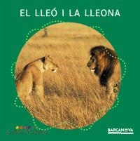 LLEO I LA LLEONA, EL (BOSC DE COLORS) | 9788448914127 | BALDÓ, ESTEL/GIL, ROSA/SOLIVA, MARIA | Llibreria La Gralla | Librería online de Granollers