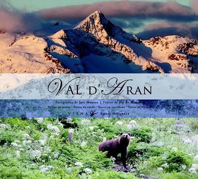 VAL D'ARAN | 9788483307144 | MONTOYA PARRA, JÈP | Llibreria La Gralla | Llibreria online de Granollers