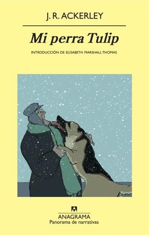MI PERRA TULIP (PANORAMA DE NARRATIVAS) | 9788433975515 | ACKERLEY, J.R. | Llibreria La Gralla | Librería online de Granollers