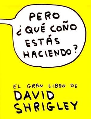 PERO QUÉ COÑO ESTÁS HACIENDO | 9788493874520 | SHRIGLEY, DAVID | Llibreria La Gralla | Librería online de Granollers