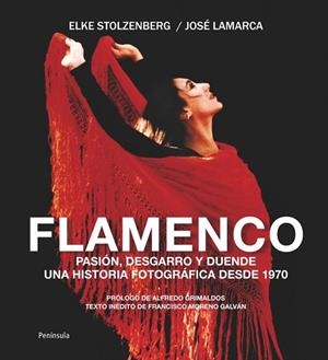 FLAMENCO | 9788499421636 | STOLZENBERG, ELKE / LAMARCA, JOSE | Llibreria La Gralla | Llibreria online de Granollers