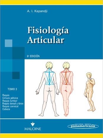 FISIOLOGÍA ARTICULAR 3 (6ª EDICIÓN)RAQUIS,CINTURA PÉLVICA, RAQUIS LUMBAR ETC... | 9788498354607 | ALBERT, KAPANDJI | Llibreria La Gralla | Librería online de Granollers