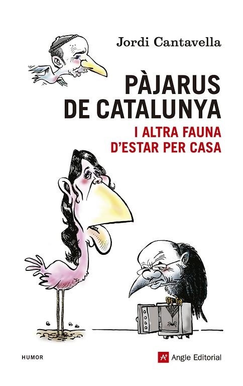 PÀJARUS DE CATALUNYA | 9788415695172 | CANTAVELLA, JORDI (TEXTOS) I KAP (IL·LUSTRACIONS) | Llibreria La Gralla | Llibreria online de Granollers