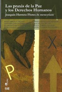 PRAXIS DE LA PAZ Y LOS DERECHOS HUMANOS, LAS | 9788433854391 | VARIOS AUTORES | Llibreria La Gralla | Llibreria online de Granollers