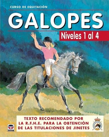 GALOPES. NIVELES 1 AL 4 (CURSO DE EQUITACION) | 9788479025618 | LOS AUTORES DE GALOPES | Llibreria La Gralla | Librería online de Granollers