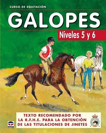 GALOPES. NIVELES 5 Y 6 (CURSO DE EQUITACION) | 9788479025625 | LOS AUTORES DE GALOPES | Llibreria La Gralla | Librería online de Granollers