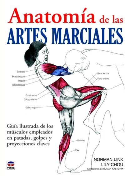 ANATOMÍA DE LAS ARTES MARCIALES | 9788479029111 | LINK, NORMAN/CHOU, LILY | Llibreria La Gralla | Llibreria online de Granollers