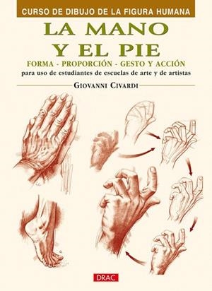 MANO Y EL PIE, LA (CURSO DE DIBUJO DE LA FIGURA HUMANA) | 9788496550421 | CIVARDI, GIOVANNI | Llibreria La Gralla | Llibreria online de Granollers