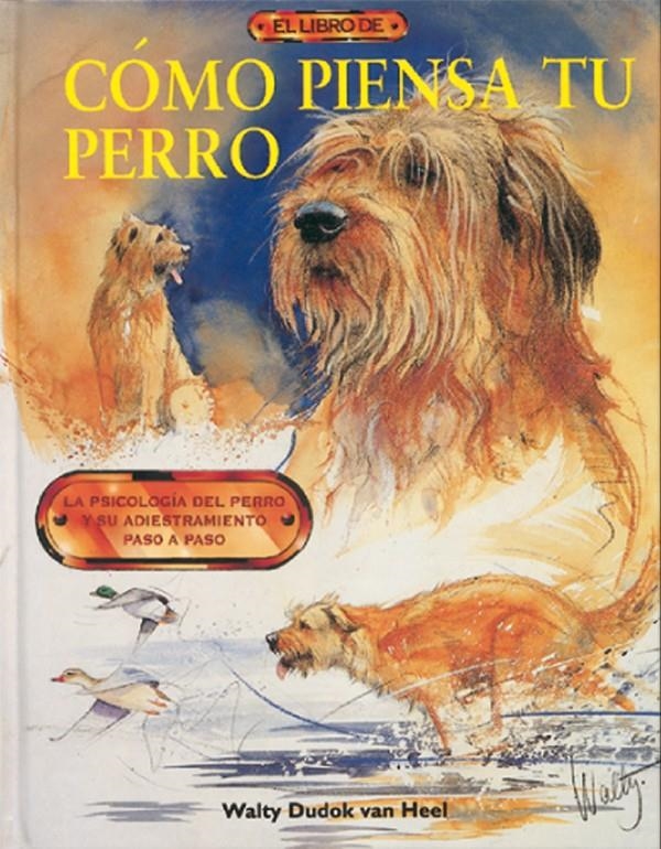 COMO PIENSA TU PERRO | 9788488893659 | DUDOK VAN HEEL, WLATY | Llibreria La Gralla | Librería online de Granollers
