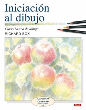 INICIACION AL DIBUJO | 9788496365940 | BOX, RICHARD | Llibreria La Gralla | Librería online de Granollers