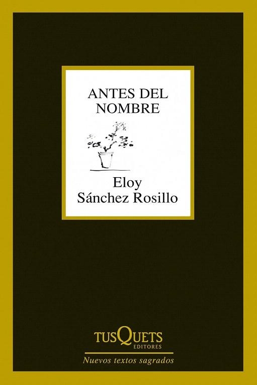 ANTES DEL NOMBRE | 9788483834619 | SÁNCHEZ ROSILLO, ELOY  | Llibreria La Gralla | Llibreria online de Granollers