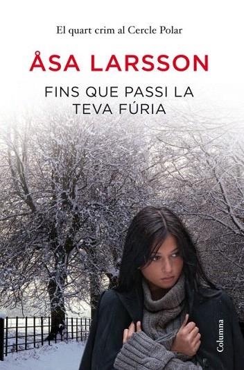 FINS QUE PASSI LA TEVA FÚRIA | 9788466415064 | LARSSON, ASA | Llibreria La Gralla | Librería online de Granollers