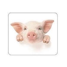 ***ALFOMBRETA RATOLI TUCANO PORQUET | 8020252004306 | TUCMPDEL141 | Llibreria La Gralla | Llibreria online de Granollers