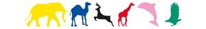 GOMETS ANIMALS SELVA | APL10115 | Llibreria La Gralla | Llibreria online de Granollers
