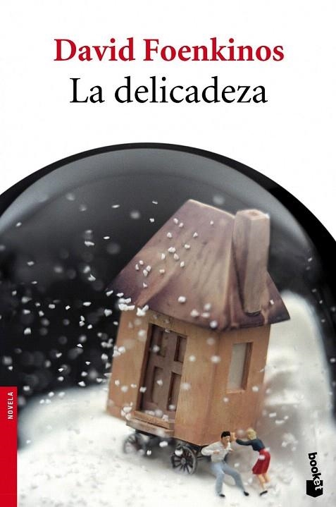 DELICADEZA, LA (BOOKET) | 9788432215896 | FOENKINOS, DAVID | Llibreria La Gralla | Librería online de Granollers