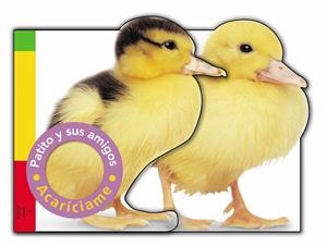 PATITO Y SUS AMIGOS | 9788479423100 | PRIDDY, ROGER | Llibreria La Gralla | Llibreria online de Granollers