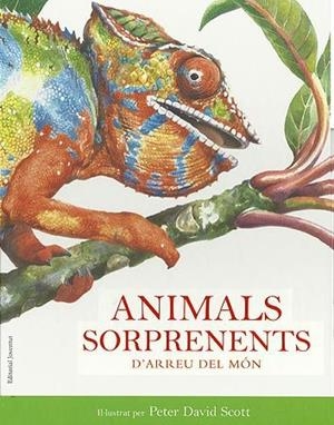 ANIMALS SORPRENENTS D'ARREU DEL MÓN | 9788426138712 | SCOTT, PETER DAVID | Llibreria La Gralla | Llibreria online de Granollers