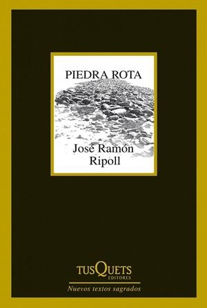 PIEDRA ROTA (MARGINALES,282) | 9788483834787 | RIPOLL, JOSÉ RAMÓN | Llibreria La Gralla | Librería online de Granollers