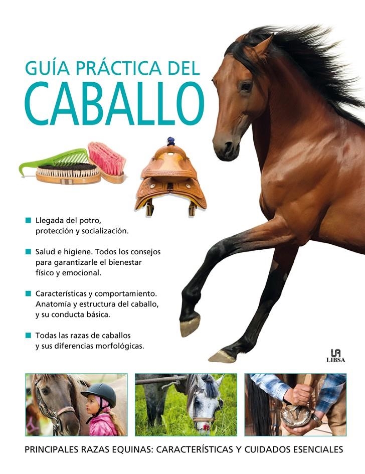 GUÍA PRÁCTICA DEL CABALLO | 9788466225748 | GORDON, MARY I D'ALTRES | Llibreria La Gralla | Librería online de Granollers